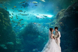 新江ノ島水族館で結婚式 結婚式はa T Wedding