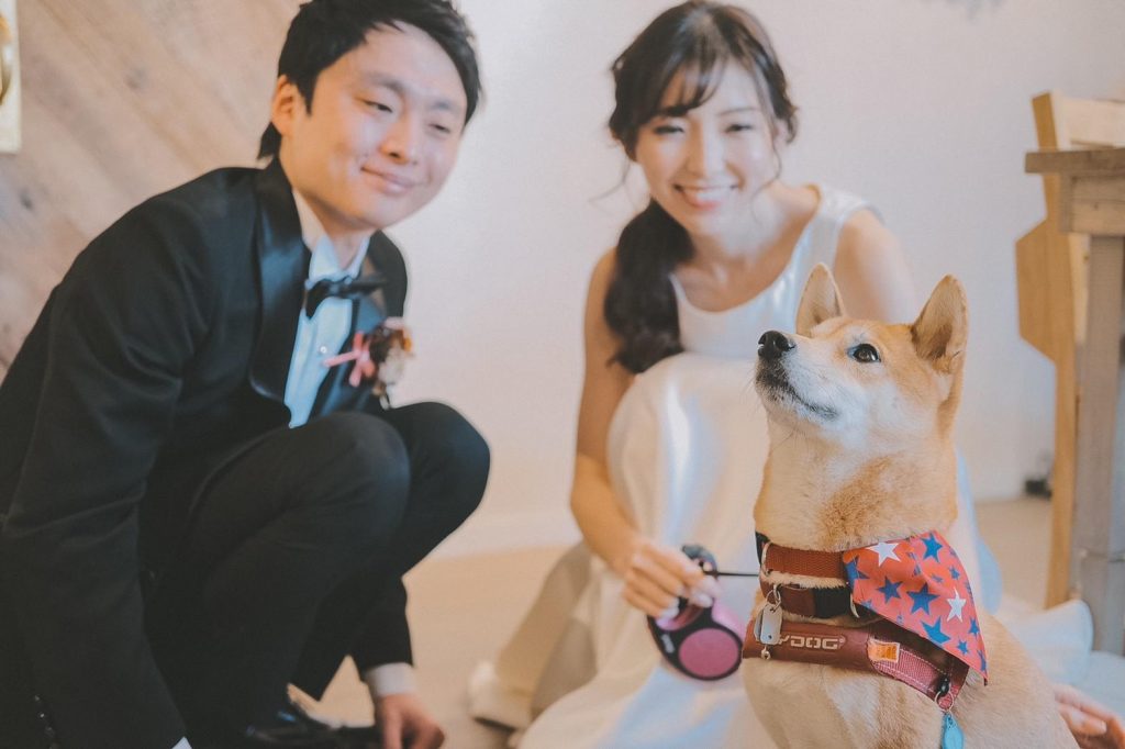 犬　結婚式　ペット